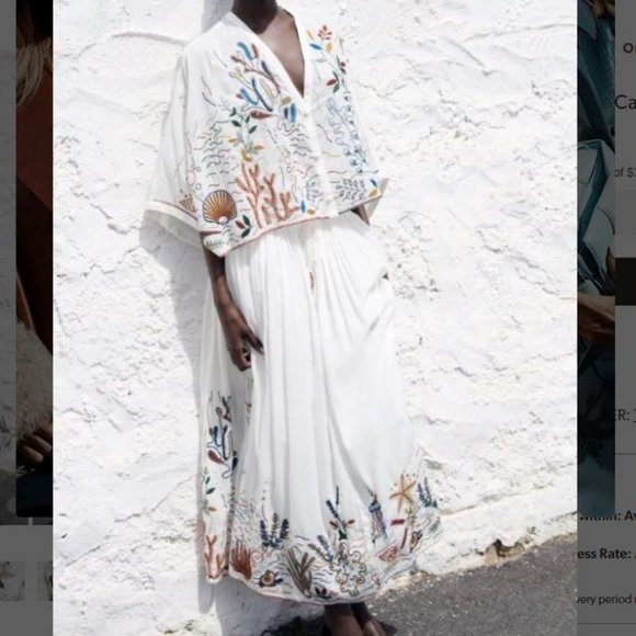 Zara Sea-Life Embroidered Long Cotton Skirt  Ecru XL - Picture 7 of 16